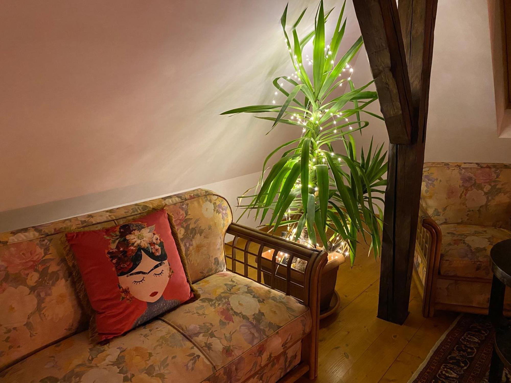 Rose'S Oldtown Apartment ブラショフ エクステリア 写真